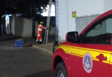 Bombeiros Realizam Manejo de Abelhas em Quadra Poliesportiva de Leme do Prado
