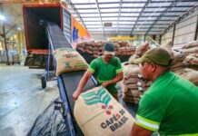 Exportações do agronegócio mineiro alcançam US$ 1,3 bilhão em janeiro