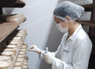 Estudo inédito vai mapear o “DNA” do Queijo Minas Artesanal do Serro